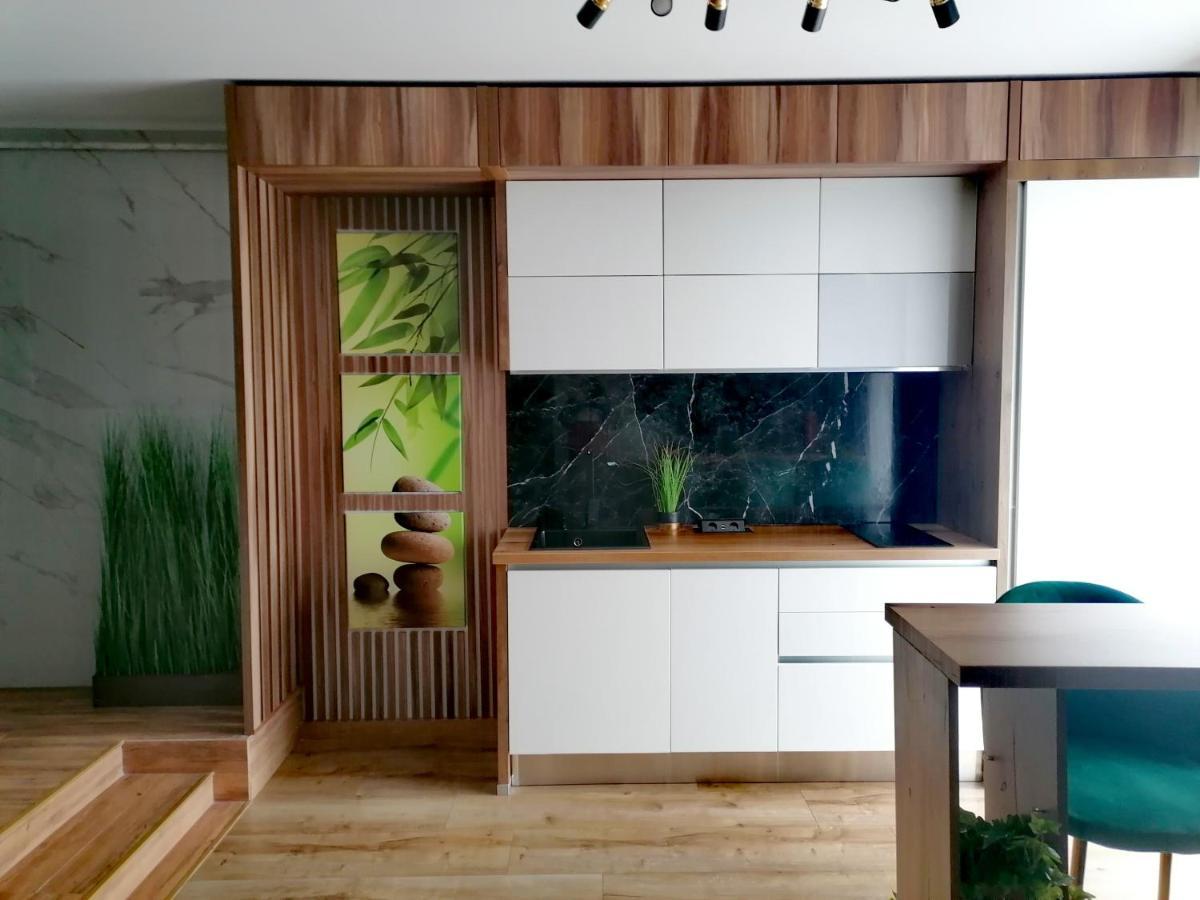Jacuzzi Apartment Baia Mare Zewnętrze zdjęcie