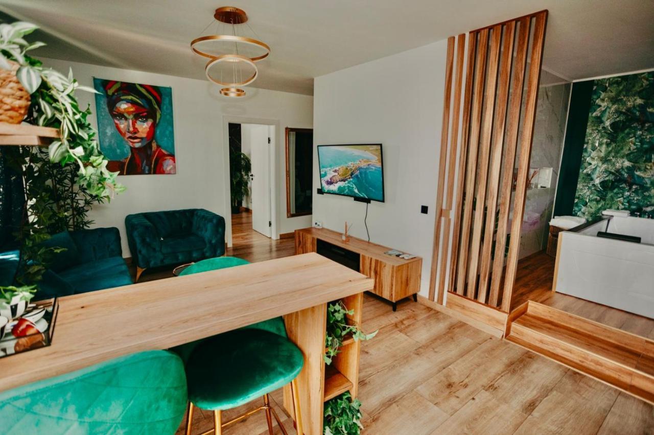 Jacuzzi Apartment Baia Mare Zewnętrze zdjęcie