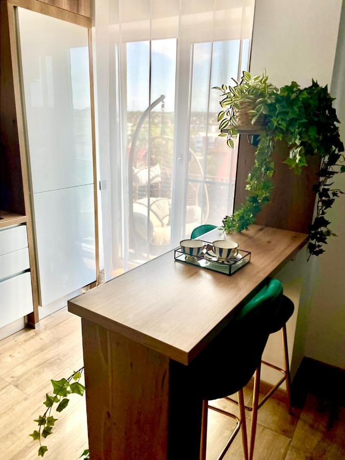 Jacuzzi Apartment Baia Mare Zewnętrze zdjęcie